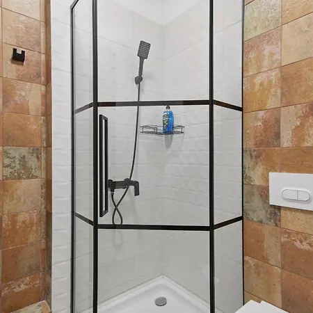 Apartment Petru Maior *