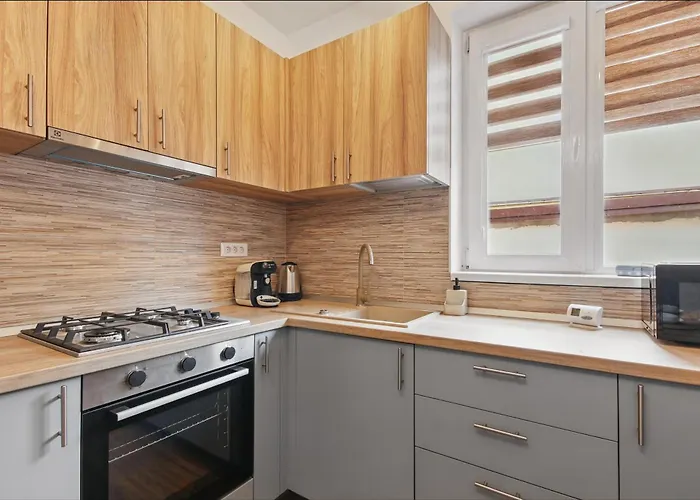 Petru Maior Apartmán *