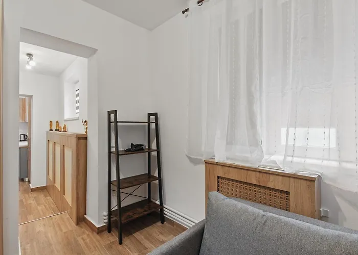 Apartmán Petru Maior *