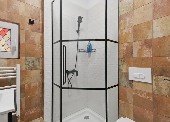 Apartmán Petru Maior *